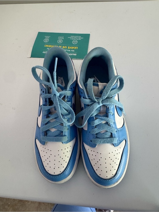 Nike Other - Nike dunks Kids Low-Top Sneakers in Light Blue and White